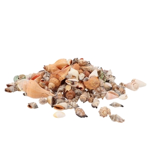 Shells Mix Big 1kg