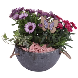 Spring Flower Arr. Outdoor Ceramic Pot with Rope Handle Ø20cm 3P