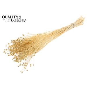 Lino Vlas per bunch in poly Bleached