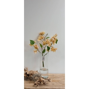 BOUGAINVILLEA BUNDLE GREEN BK770001 L40
