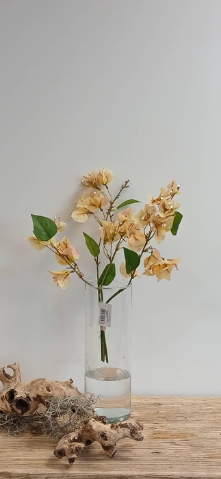 <h4>BOUGAINVILLEA BUNDLE GREEN BK770001 L40</h4>