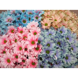 Chr T Bacardi Mix 2 Kleurig