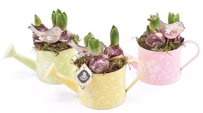 <h4>Zink gieter decor mix 13cm</h4>