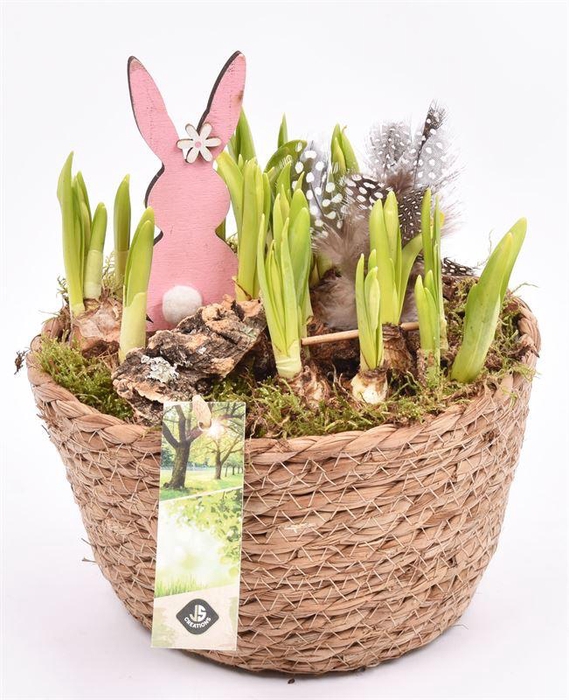 <h4>Touwmand naturel 18cm</h4>