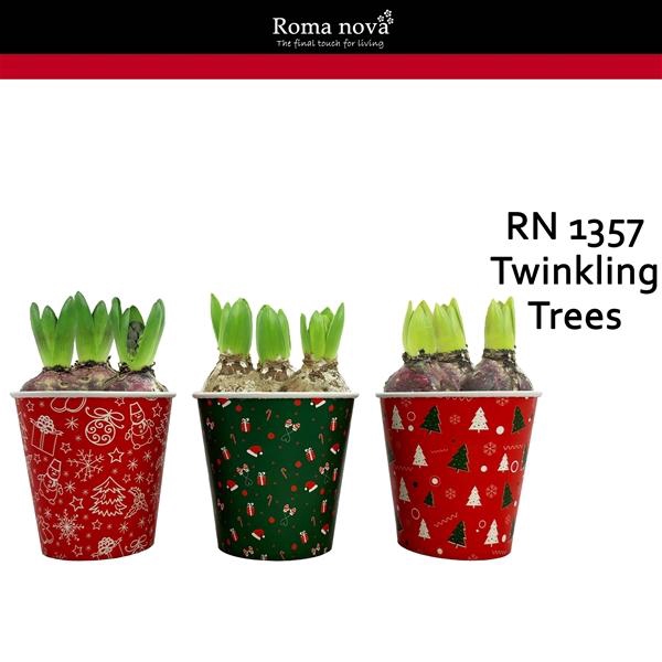 <h4>Arrangementen Hyacinthus 6%</h4>