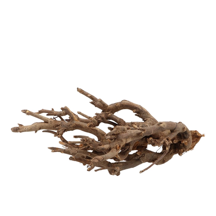 <h4>Nature Curry Bush Stonewash P/500 Gram</h4>