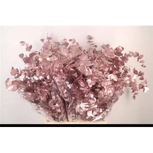 EUC CIN KLB P BOS H%