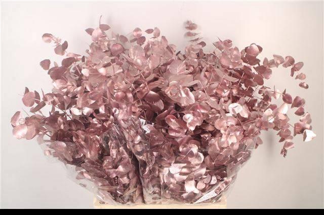 <h4>EUC CIN KLB P BOS H%</h4>