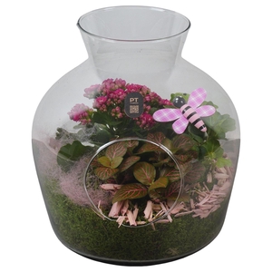 2638 ROZE GLAS+GAT