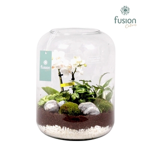 Green Bottle xlarge met white arrangement