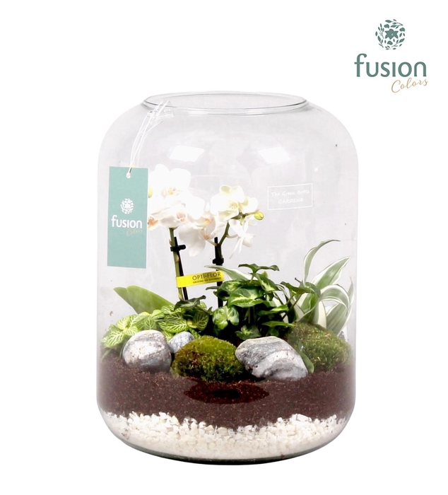 <h4>Green Bottle xlarge met white arrangement</h4>