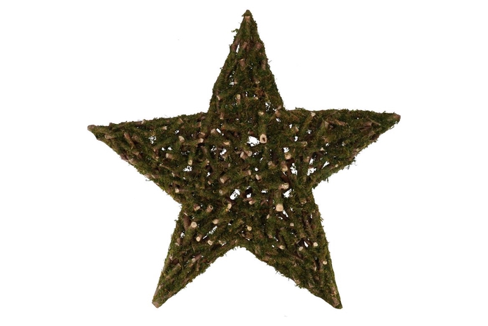 Festive Star Poplar Moss 90x90x10cm