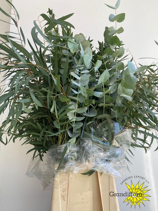 <h4>Blad Mix GF</h4>