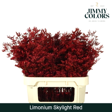 <h4>Limonium Skylight L80 Red</h4>