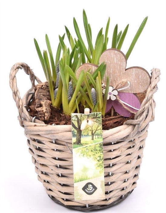 Wilg mand grijs met oor 14cm