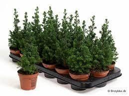 <h4>CHAM THY TOP POINT P09</h4>