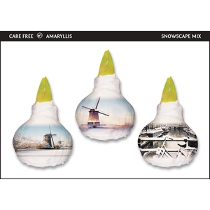 A.BULB of Art - 36cm Snowscape Mix