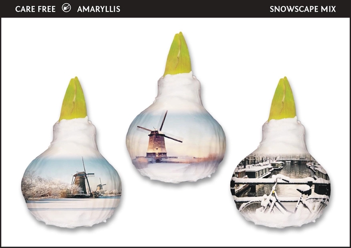 <h4>A.BULB of Art - 36cm Snowscape Mix</h4>