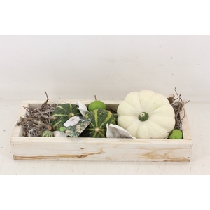 arr4 Sierfruit MB - Plateau rechth. white
