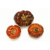Deco Pumpkin 5pc