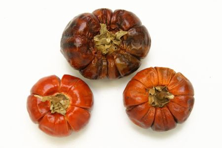 Deco Pumpkin 5pc