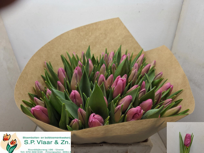 <h4>TU EN AIRBUS</h4>