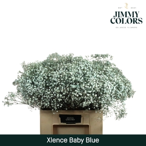 Gyps xlence L60 Light blue