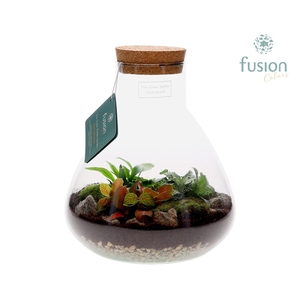 Terrarium Pyramide Medium met arrangement