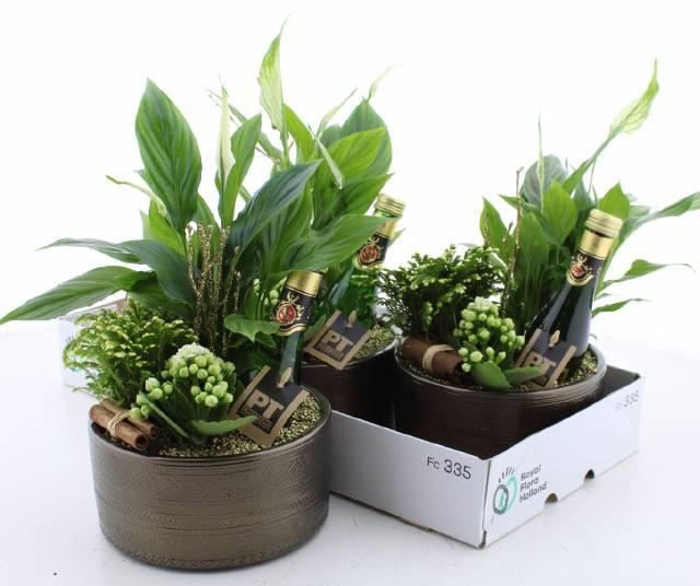 <h4>ARR KAMERPL</h4>