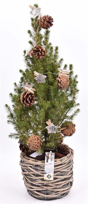 <h4>Wilg mand grijs 18cm</h4>