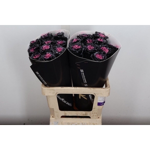 Wax-Rozen Wax Wit Zilver glitter