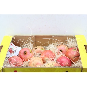 Sier Granaatappel Red X24 P Box