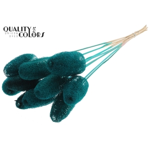 Luffa Mini on stem Turquoise