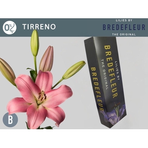 LI LA TIRRENO QUALITY BOX