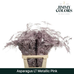 Asp lang getopt Metallic pink