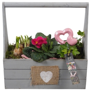 PTVO3622 Arrangement Valentine Outdoor in houten bak