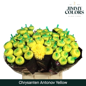 Chr G Antonov klbh Yellow