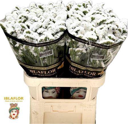 <h4>LIM S WHITE STARLIGHT WINGS 80/65GR</h4>