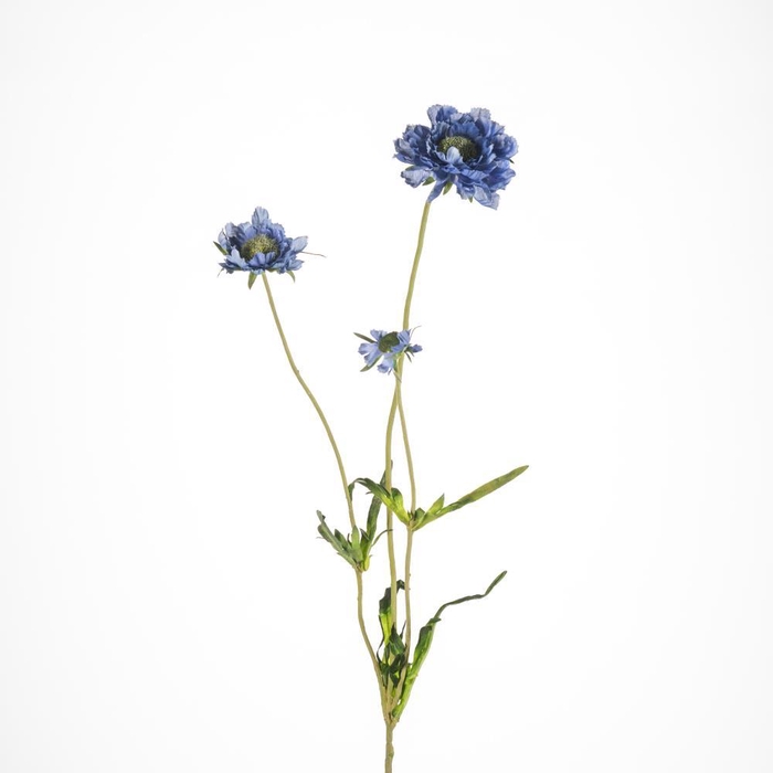 <h4>AF Scabiosa x3 L63cm Blue</h4>