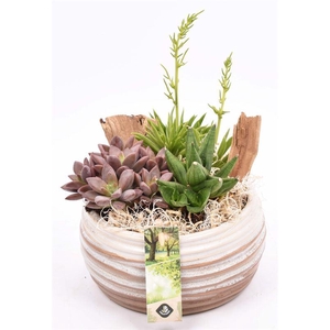 Keramiek schaal bruin/creme 16cm