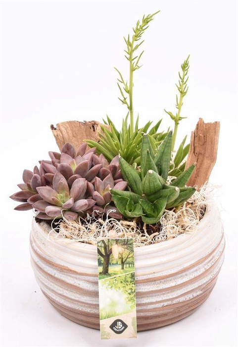 <h4>Keramiek schaal bruin/creme 16cm</h4>