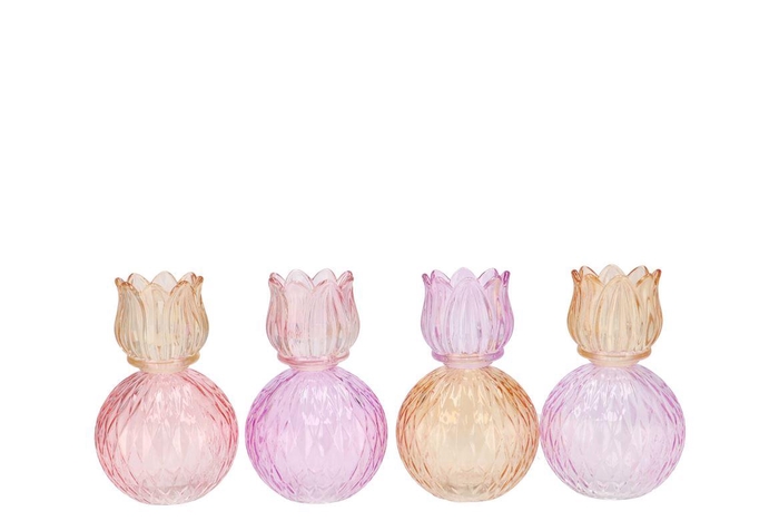 <h4>Bicolore Dreamy Pastel Mix Tulip T-light Ass 11x17cm Nm</h4>