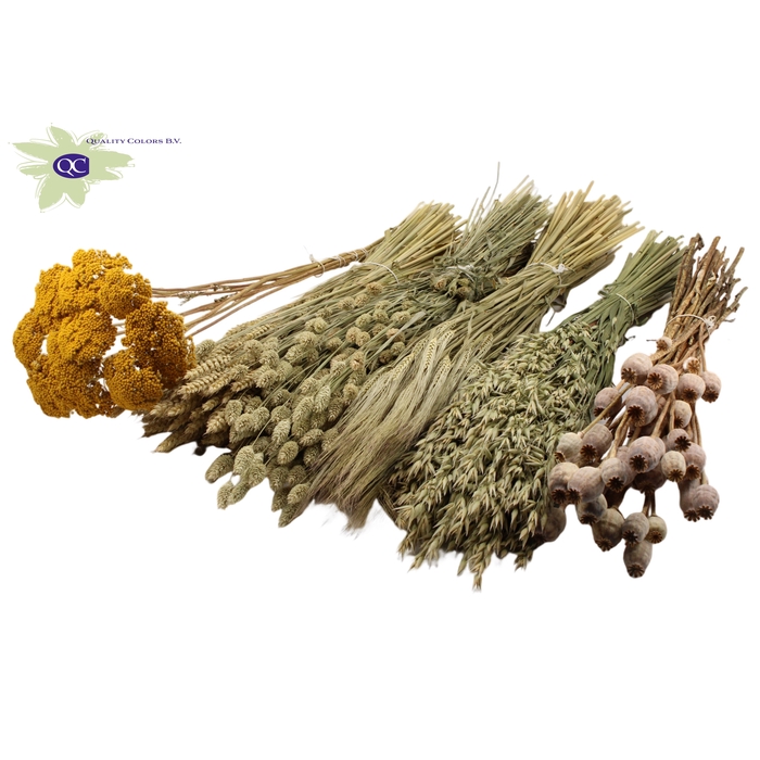<h4>Dutch dried Flowers mix 6 bunch various products Natural</h4>