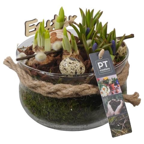 <h4>PTBMP5759 Arrangementen Tuinplanten</h4>