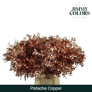 Pistache L45 Metallic copper + glitter