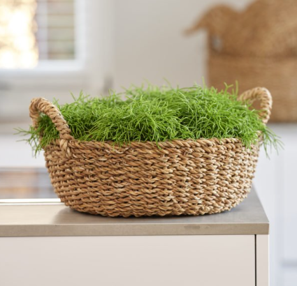 <h4>BACIA LOEK NATURAL D50 A20 IMP</h4>