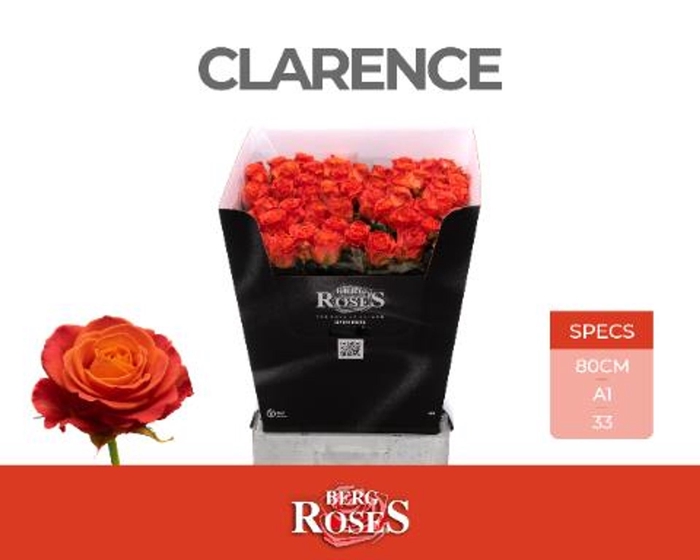 <h4>Rs gr Clarence+</h4>