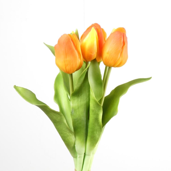 Af Tulip Bundle X7 L31cm Orang