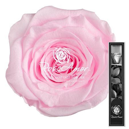 30cm Stem Pin99
