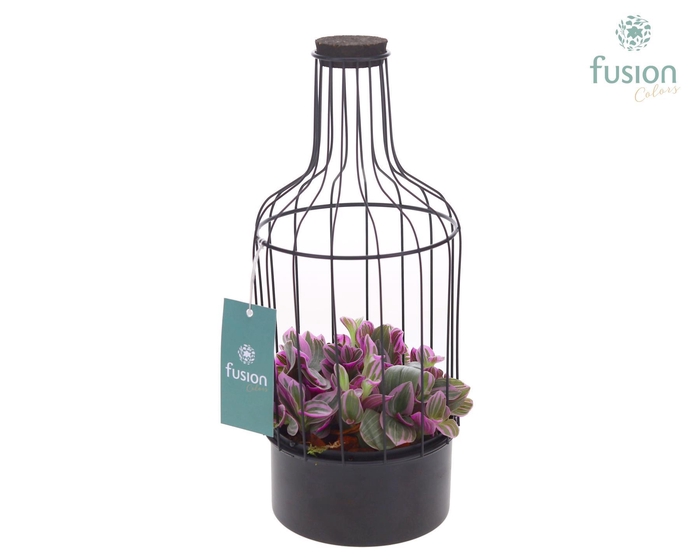<h4>Metalen fles zwart klein met Tradescantia</h4>